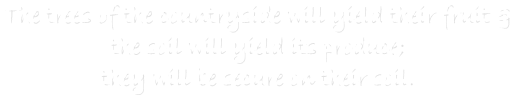 The trees of the countryside will yield their fruit & 
the soil will yield its produce; 
they will be secure on their soil. 